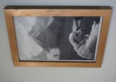 Copper gilt frame with stained ash frame and maple splines